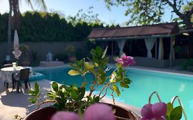 El Litoral Gentle Wellness Retreat In Coronado, Panama